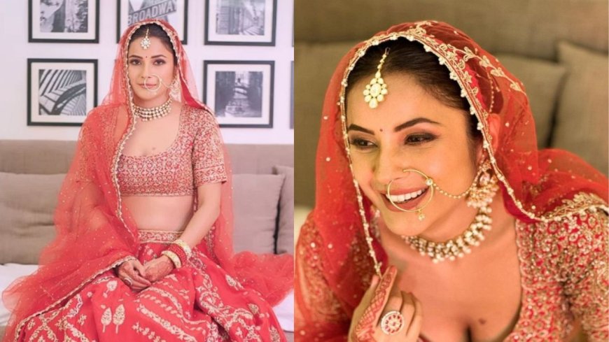 Shehnaaz Gill's jaw-dropping bridal transformation leaves everyone enchanted; Check Out