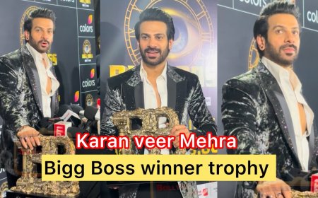 Karan Veer Mehra Triumphs in Bigg Boss 18, Wins Hearts and Trophy!